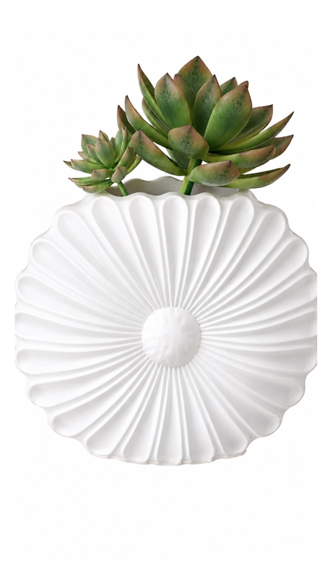 Daisy flover concrete product